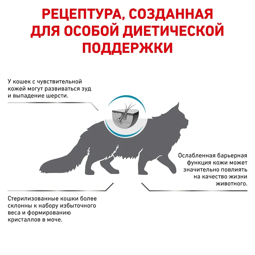 Корм Royal Canin Skin & Coat Feline