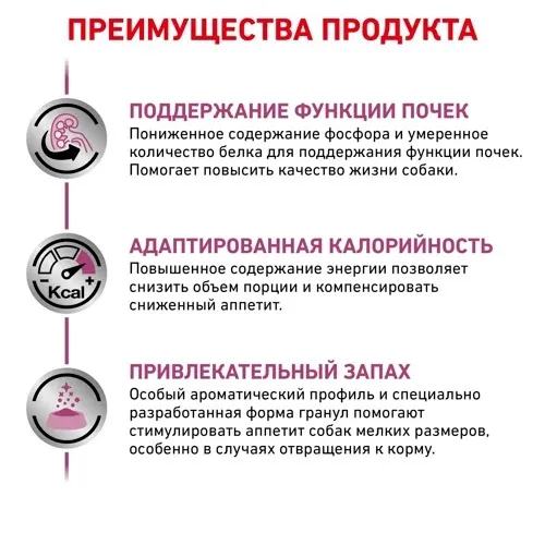 Royal Canin Renal Small Dog