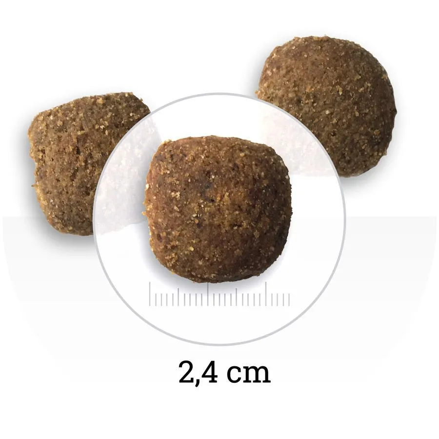 Bon Appetit Adult Maxi (Курица и рис)