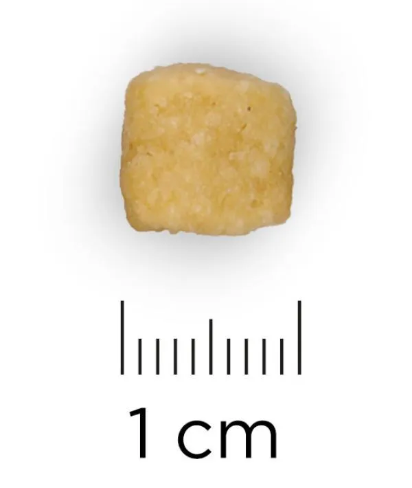 Hill's Prescription Diet d/d Food Sensitivities для собак (лосось, рис)