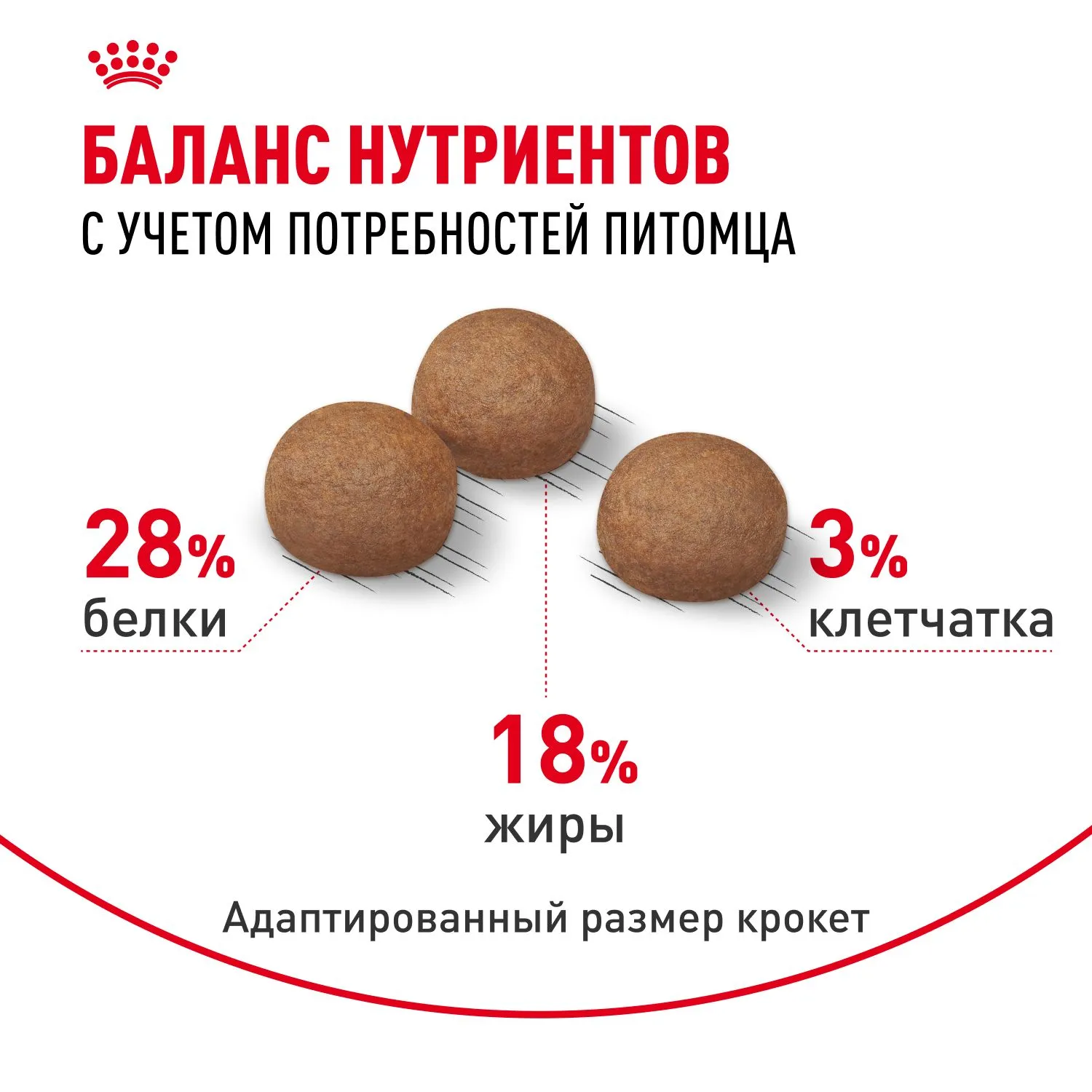 Корм Royal Canin Maxi Digestive Care для собак