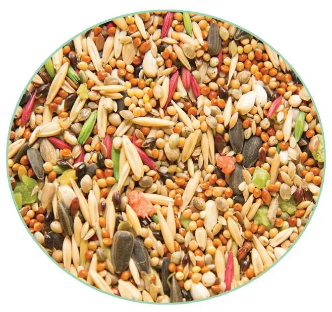 Triol Original Корм для волнистых попугаев