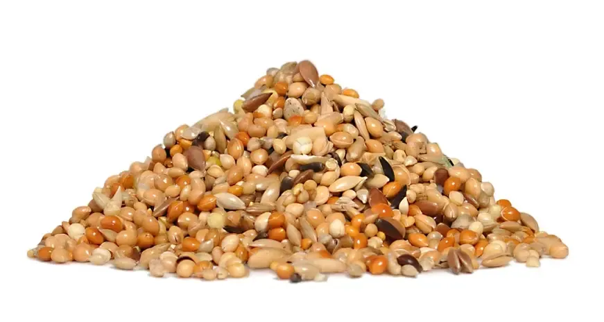 RIO Корм для волнистых попугаев