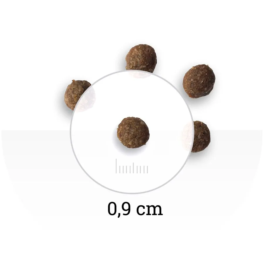 Bon Appetit Adult Mini (Курица и рис)