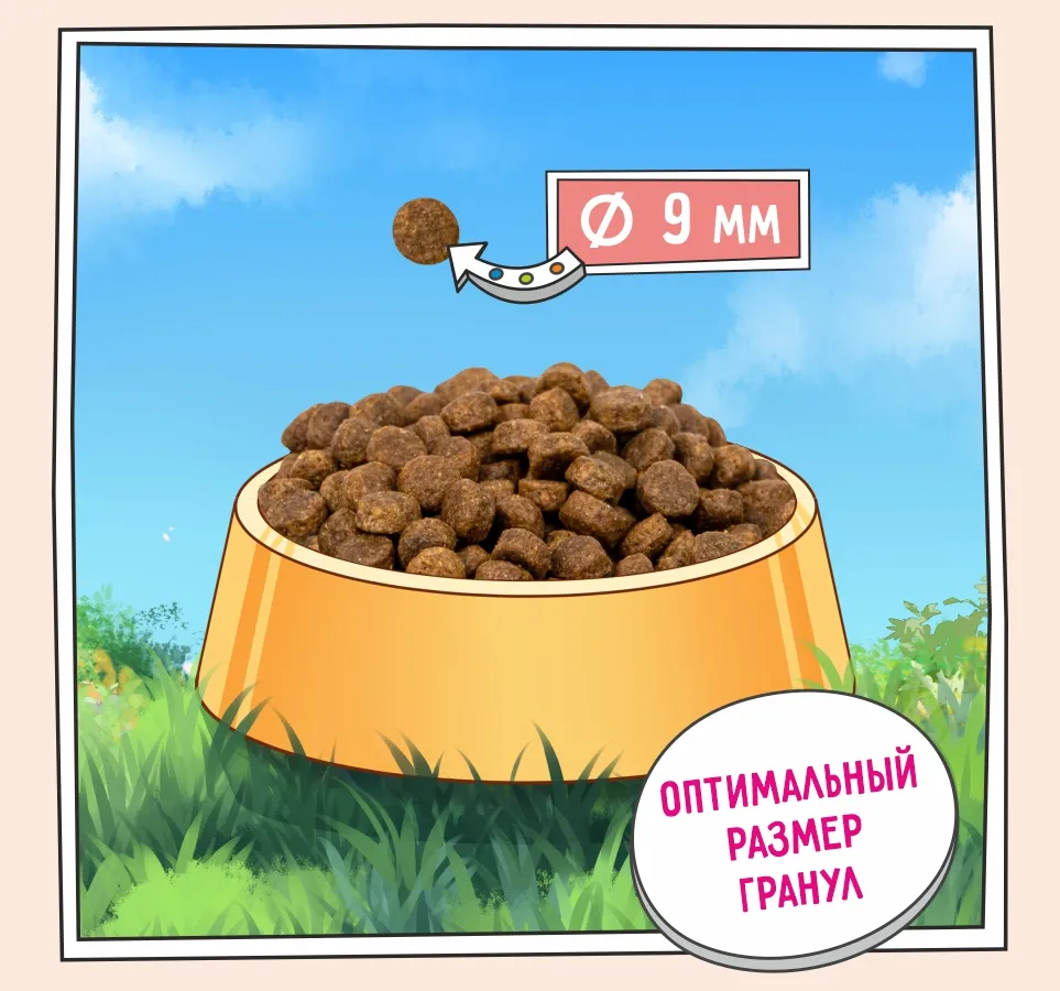 ZILLII Puppy (Индейка, ягненок)