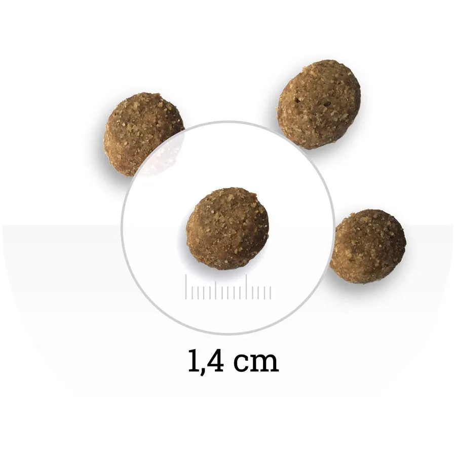 Bon Appetit Light Adult Dog (Курица и рис)