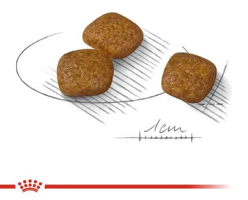 Корм Royal Canin Mini Urinary Care для собак