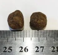 Necon Delicate Adult (Рыба и рис)