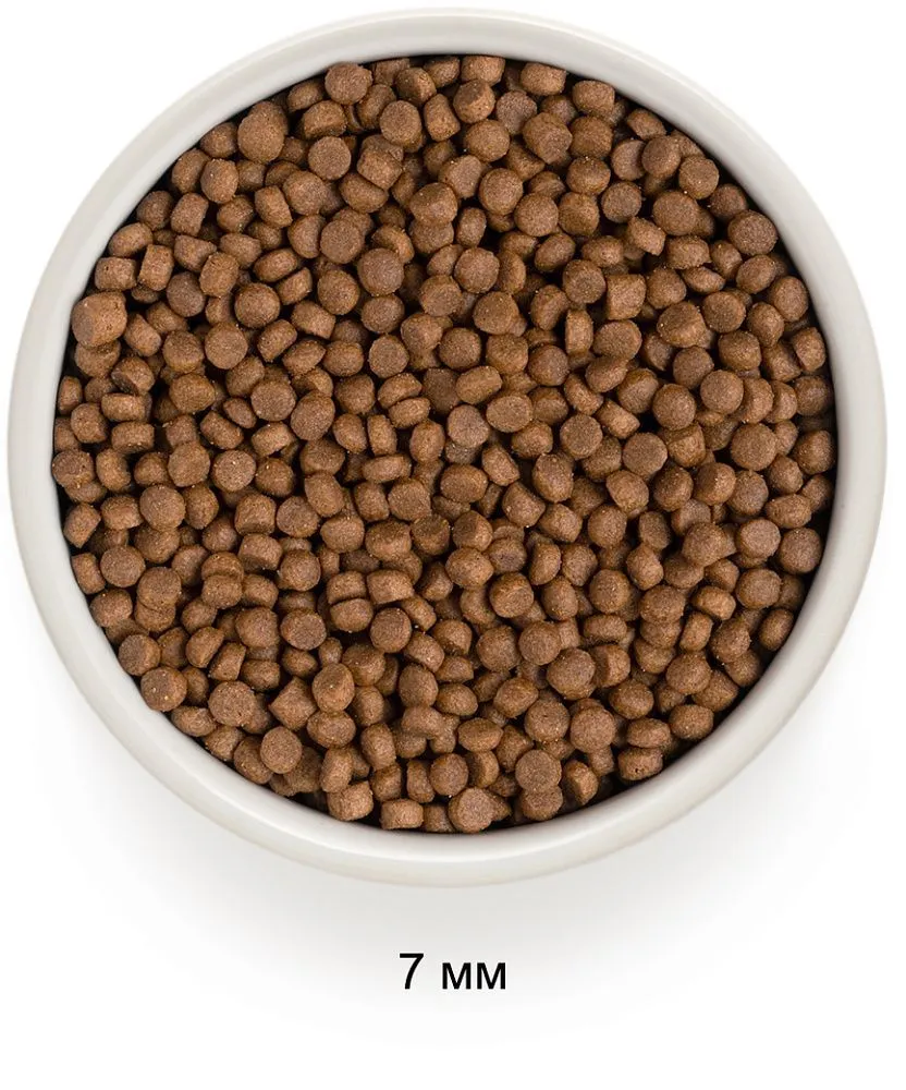 Grandorf Probiotics Adult Indoor (4 вида мяса)