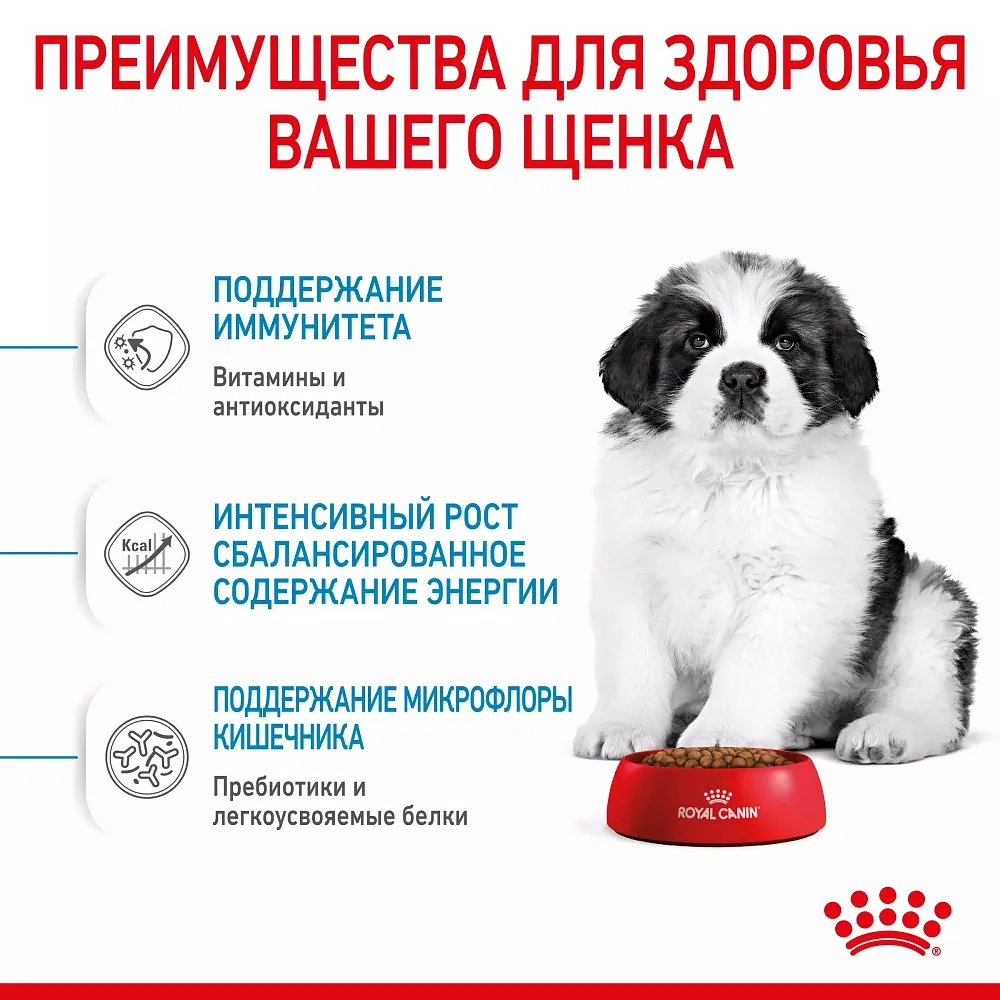 Royal Canin Giant Puppy
