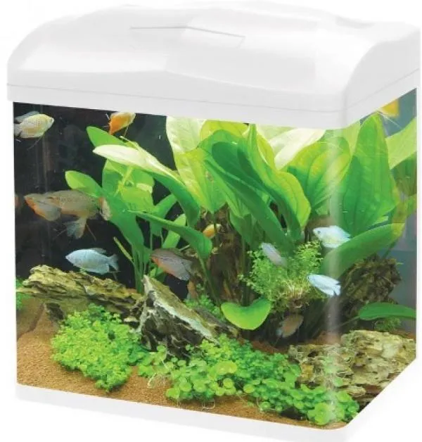 Haqos Аквариум изогнутый, 49 л