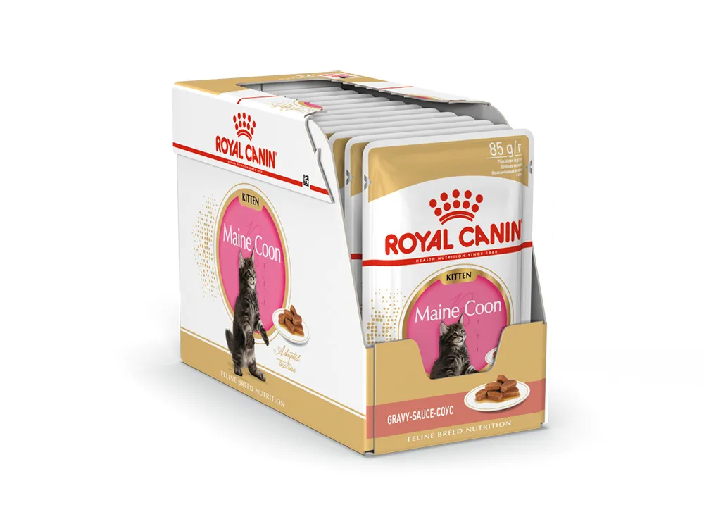 Royal Canin Maine Coon Kitten (соус)