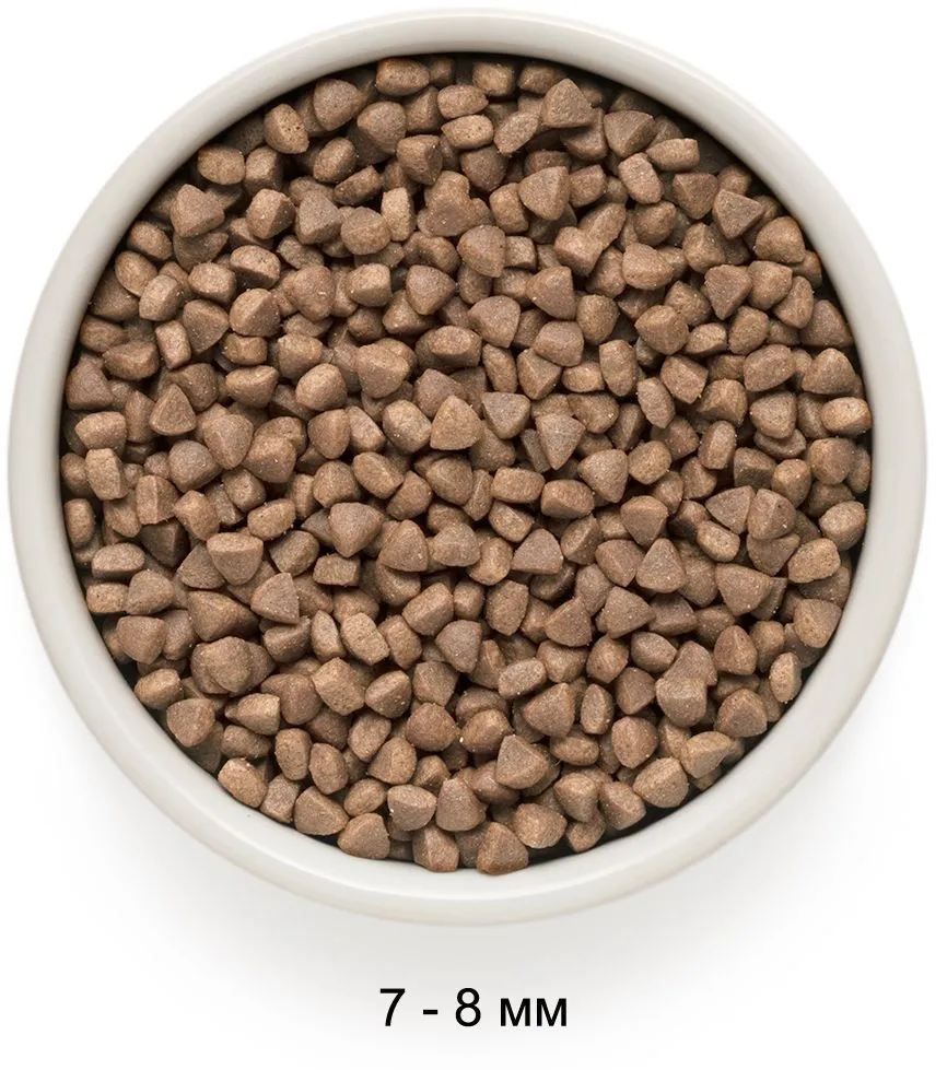 Grandorf Adult Indoor (Ягненок, индейка)