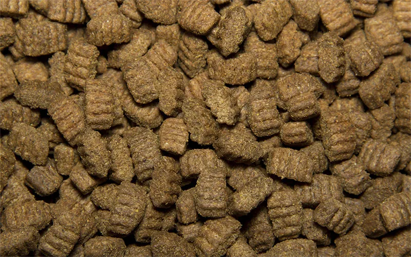 All Dogs для взрослых собак всех пород (Курица)