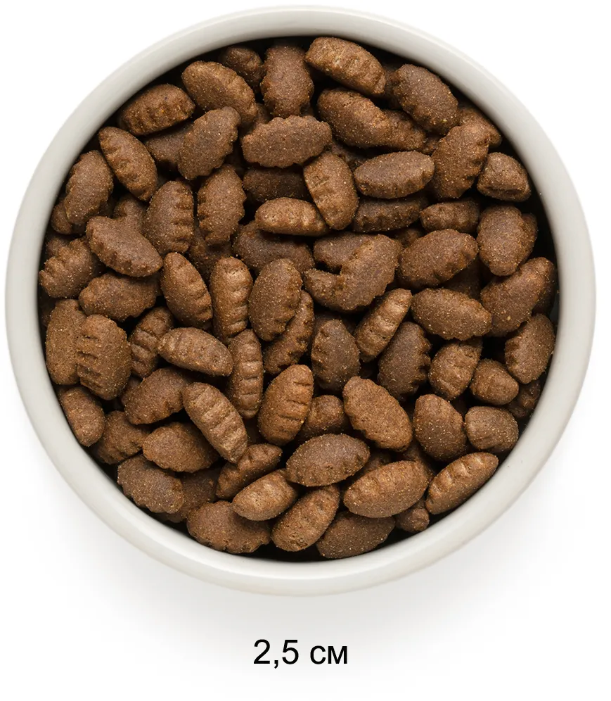 Grandorf Adult Maxi (Ягненок, индейка)