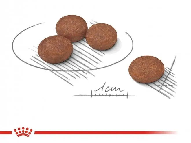 Корм Royal Canin Mini Digestive Care для собак