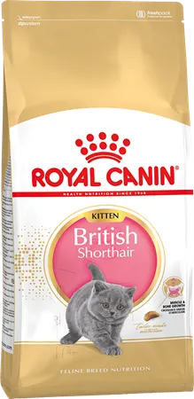 Royal Canin British Shorthair Kitten