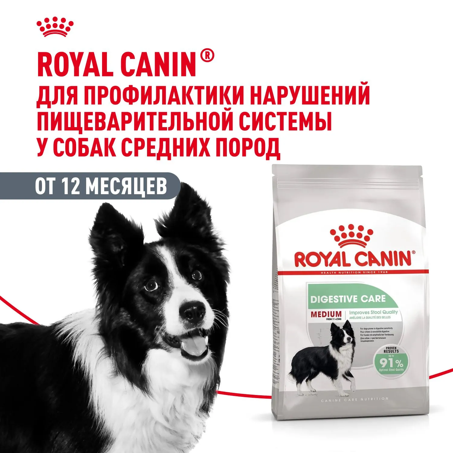 Корм Royal Canin Medium Digestive Care для собак