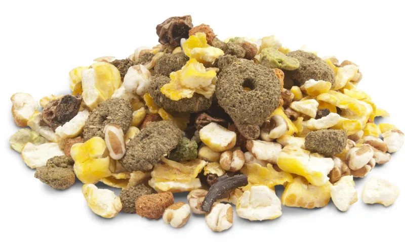 Versele Laga Корм Crispy Snack Popcorn