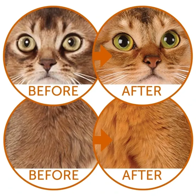 Nature's Protection Red Cats GF (Сельдь)