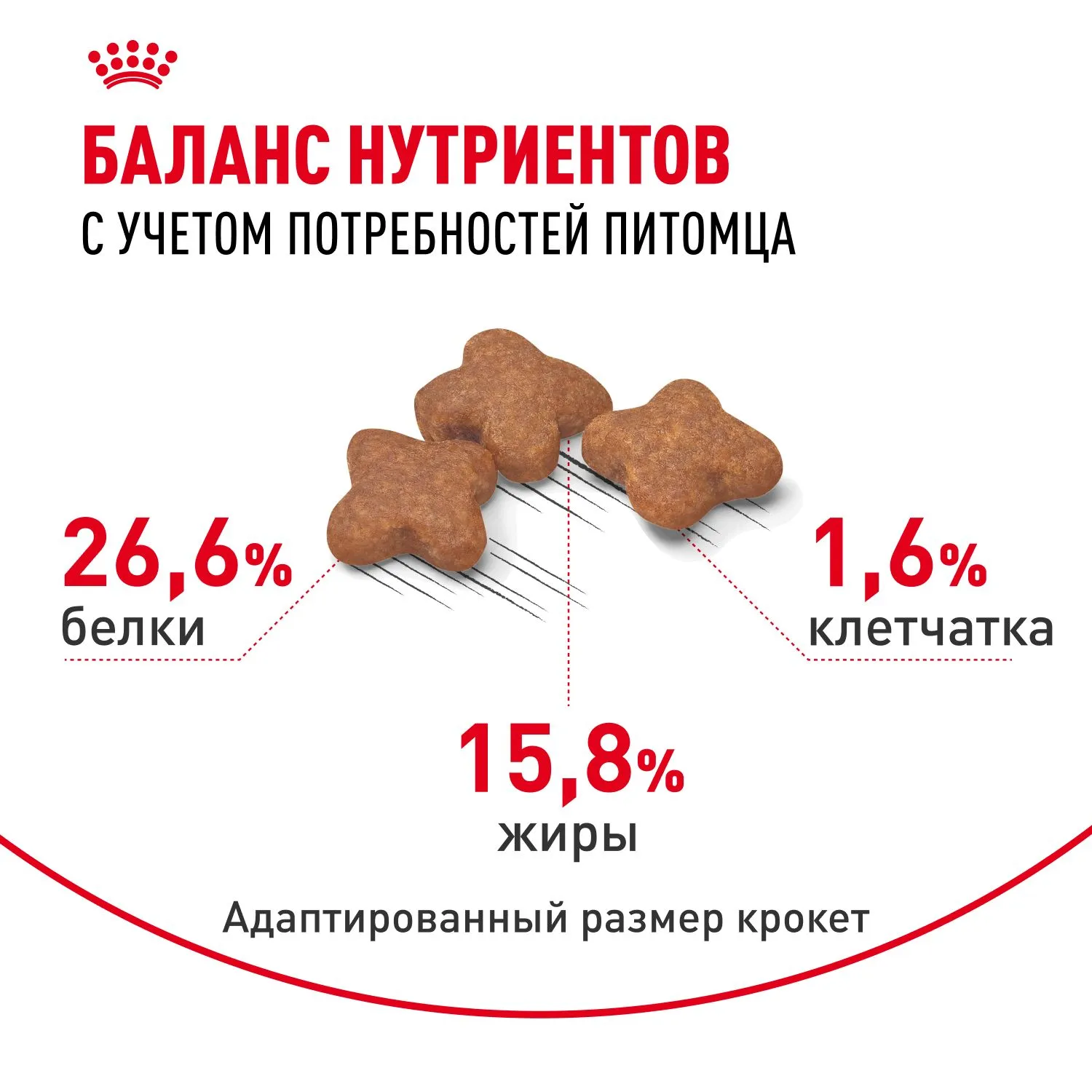Корм Royal Canin Mini Adult 8+ для собак мелких пород от 8 лет и старше