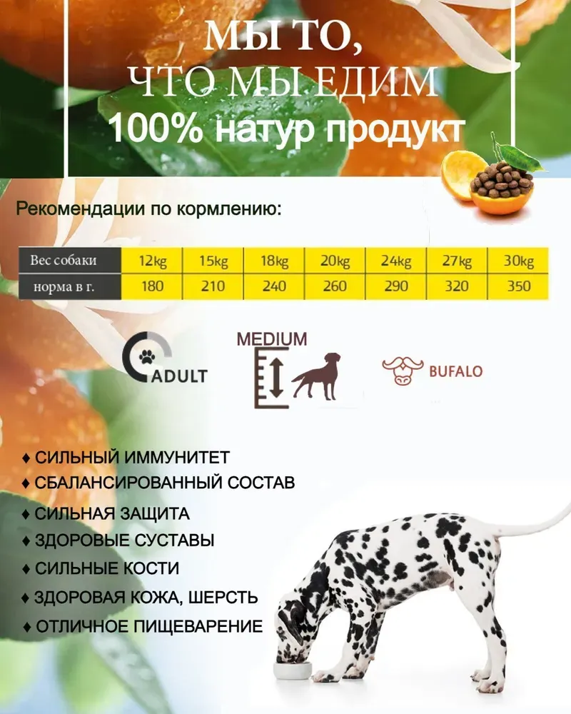 Naxos Adult Medium (Буйвол и цитрусы)