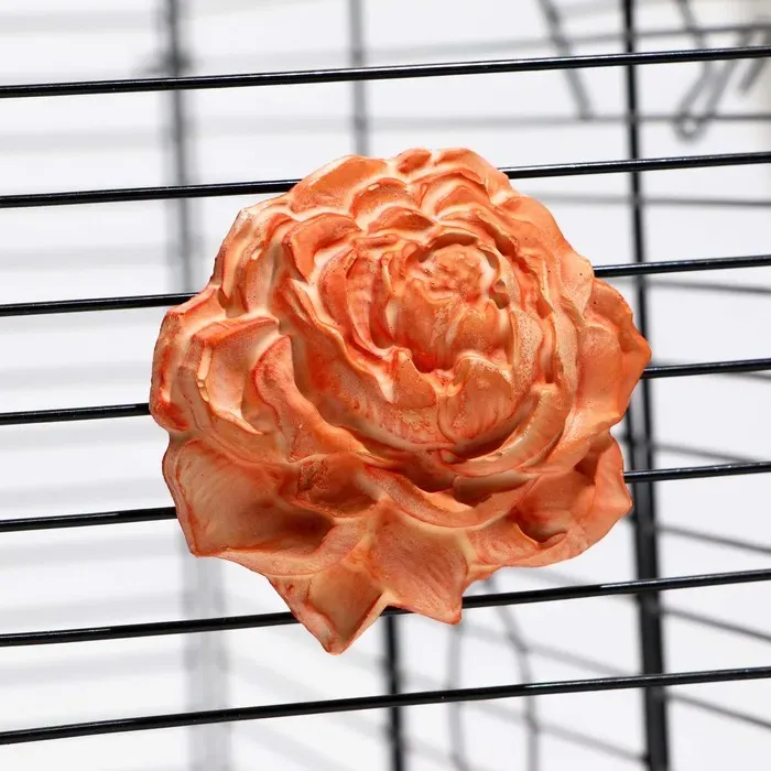 Пижон Минеральный камень для птиц пион