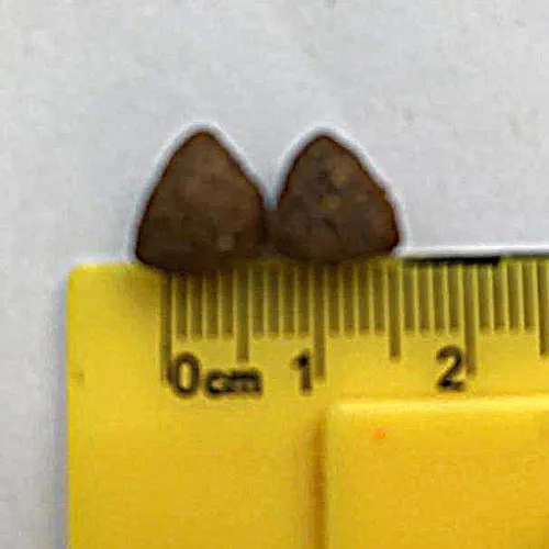 ZooRing Adult Cat (Индейка, лосось)