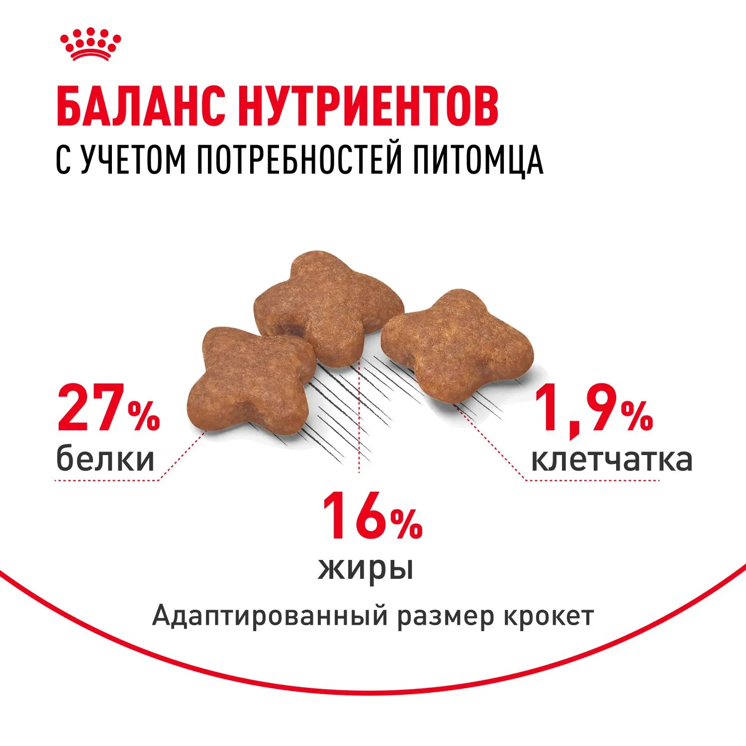 Корм Royal Canin Mini Adult для собак
