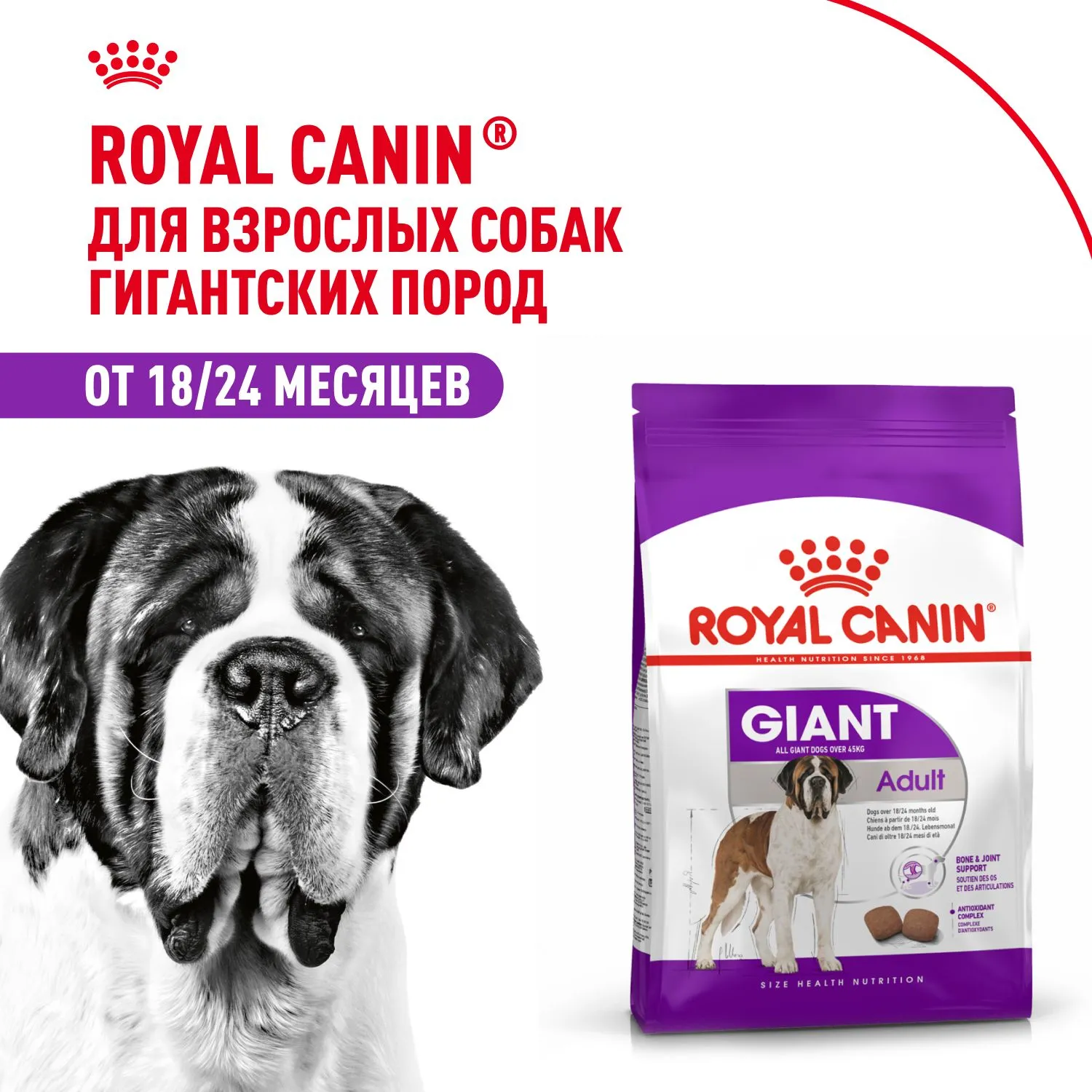 Корм Royal Canin Giant Adult для собак