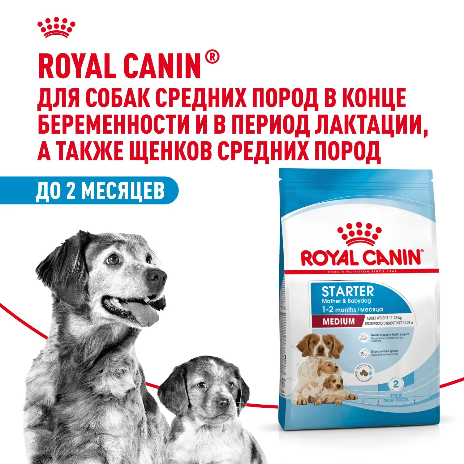 Royal Canin Medium Starter