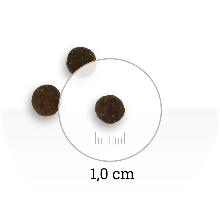 Natura Wild Little Creek (Лосось, тунец, индейка)