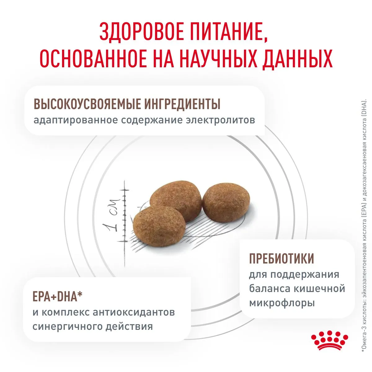 Royal Canin Gastrointestinal Hairball