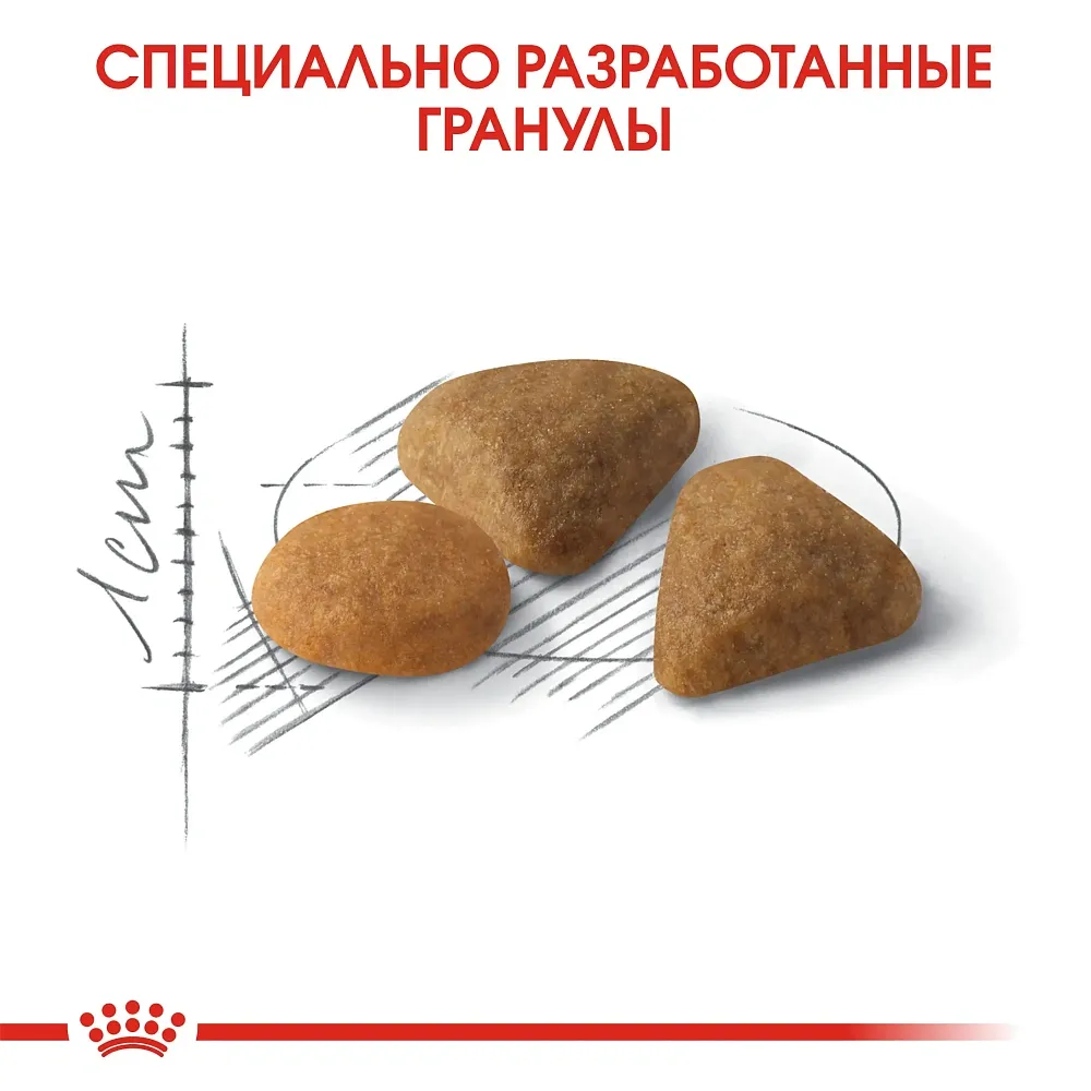 Корм Royal Canin Savour Exigent для кошек