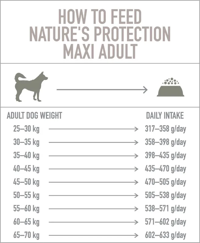 Nature's Protection Adult Maxi