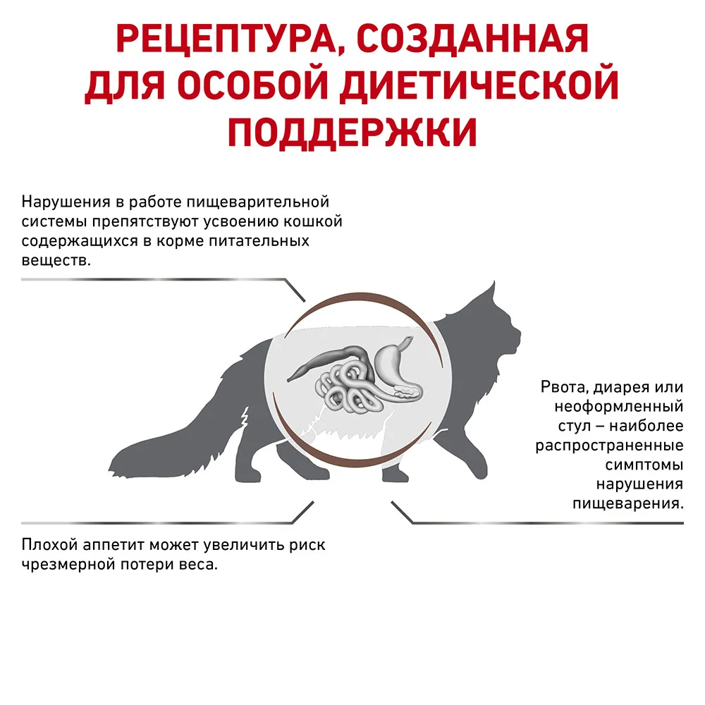 Royal Canin Gastrointestinal Сat