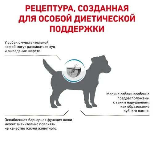 Royal Canin Skin Care Small Dog