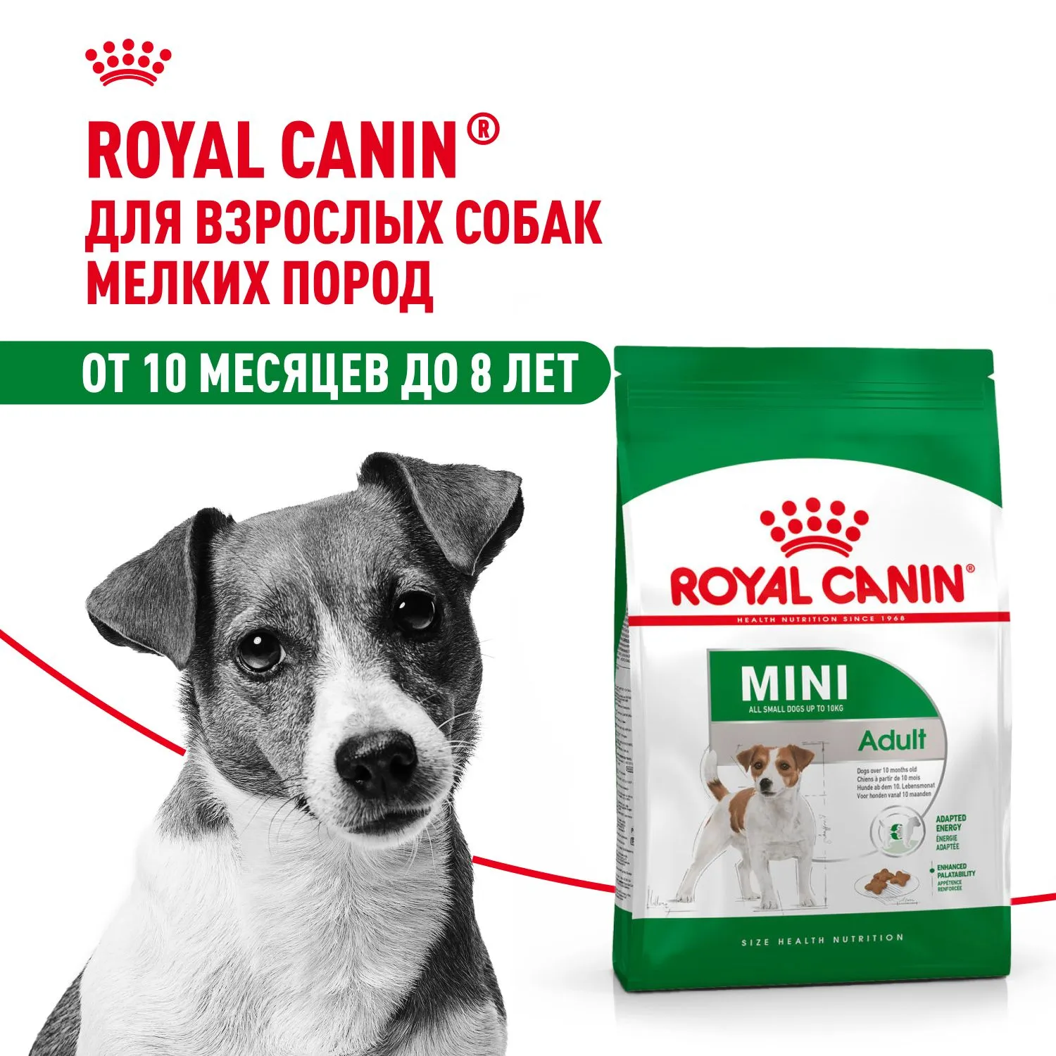 Корм Royal Canin Mini Adult для собак