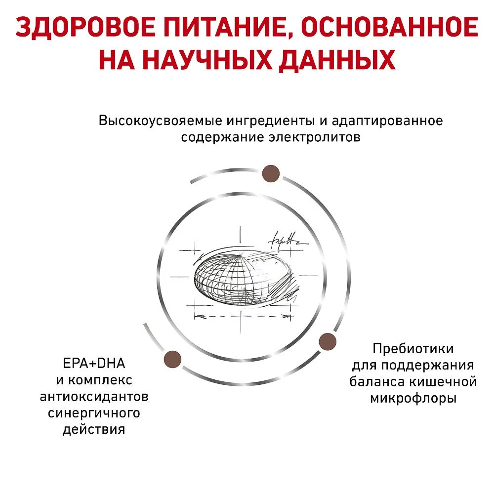 Royal Canin Gastrointestinal Moderate Calorie Cat