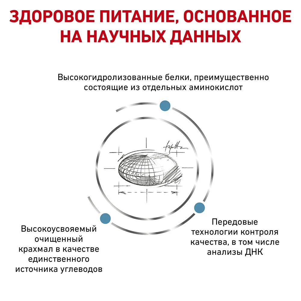 Royal Canin Anallergenic Cat