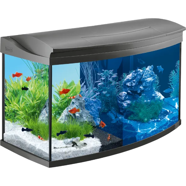 Tetra Аквариум "AquaArt LED Evolution Line", 100 л