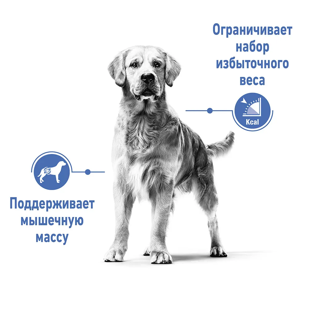 Корм Royal Canin Medium Light Weight Care для собак