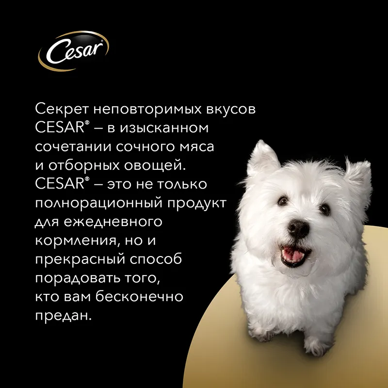 Cesar для взрослых собак (Говядина с овощами)