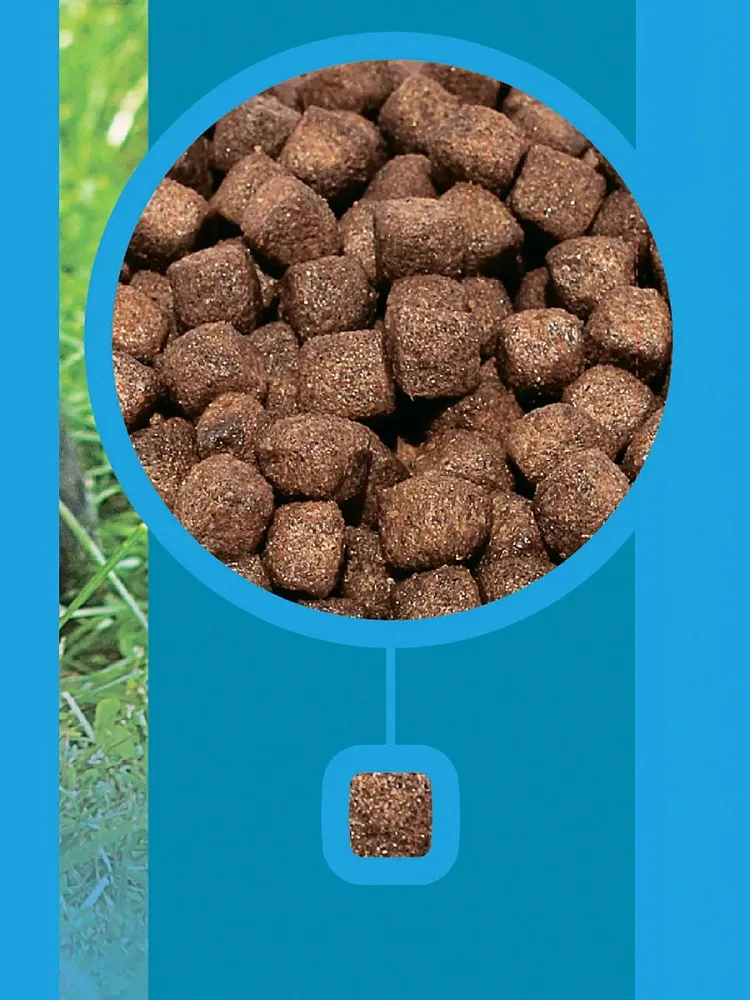 Proхвост для собак (Курица)