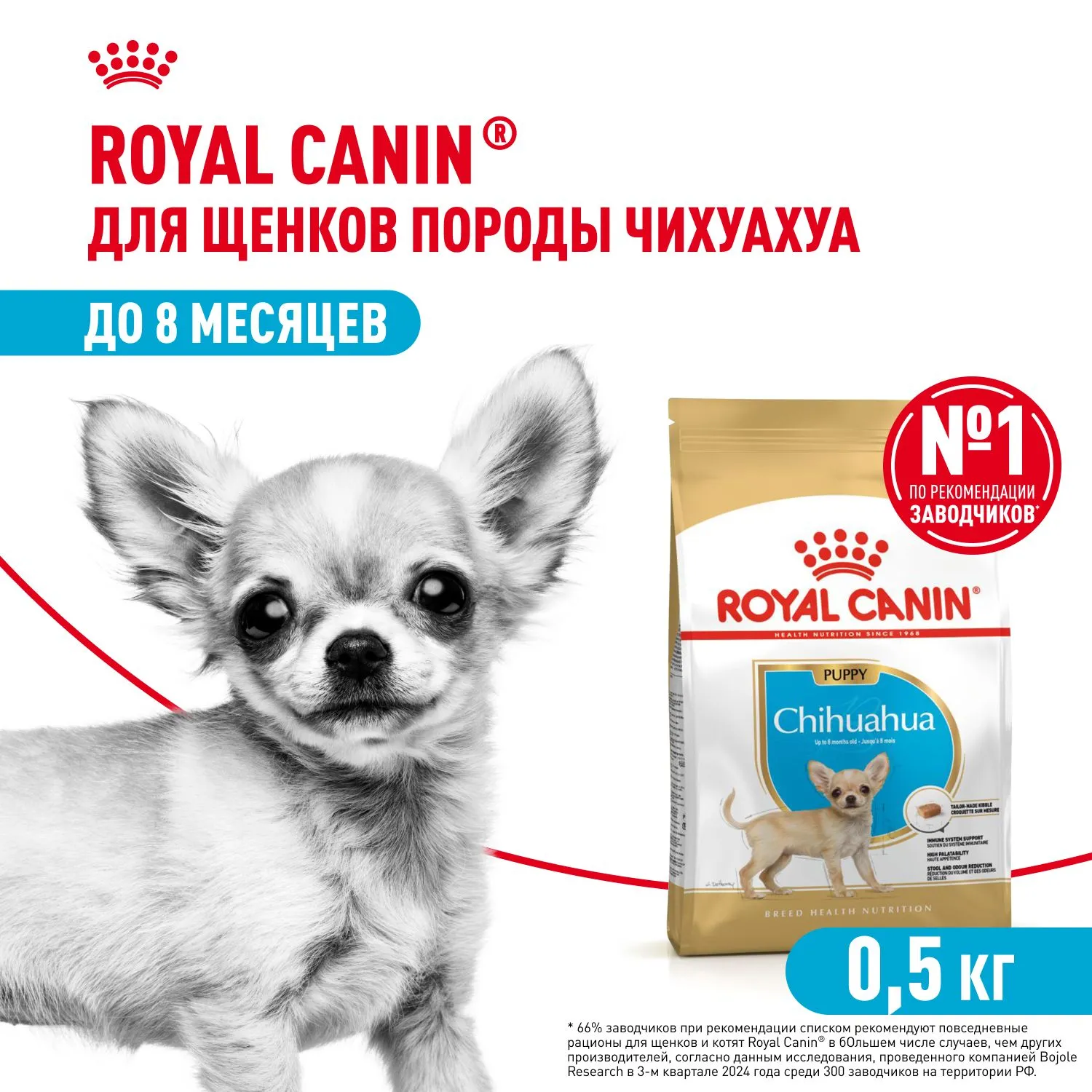 Royal Canin Chihuahua Puppy