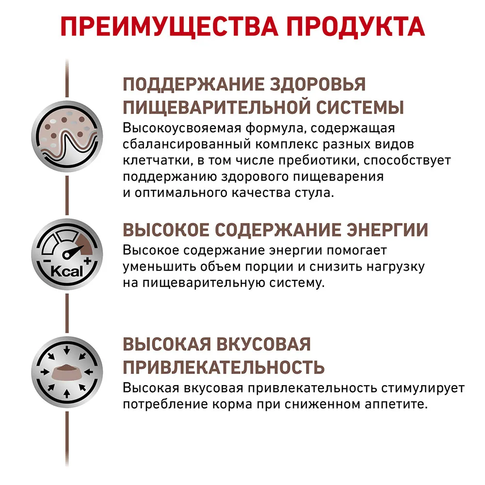 Royal Canin Gastrointestinal Сat