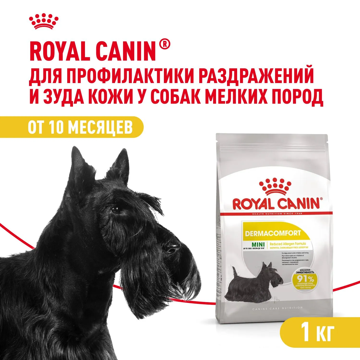 Корм Royal Canin Mini Dermacomfort для собак