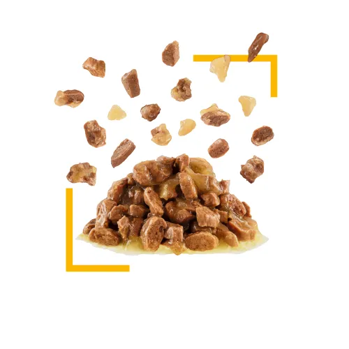 Royal Canin Sensory Taste (желе)