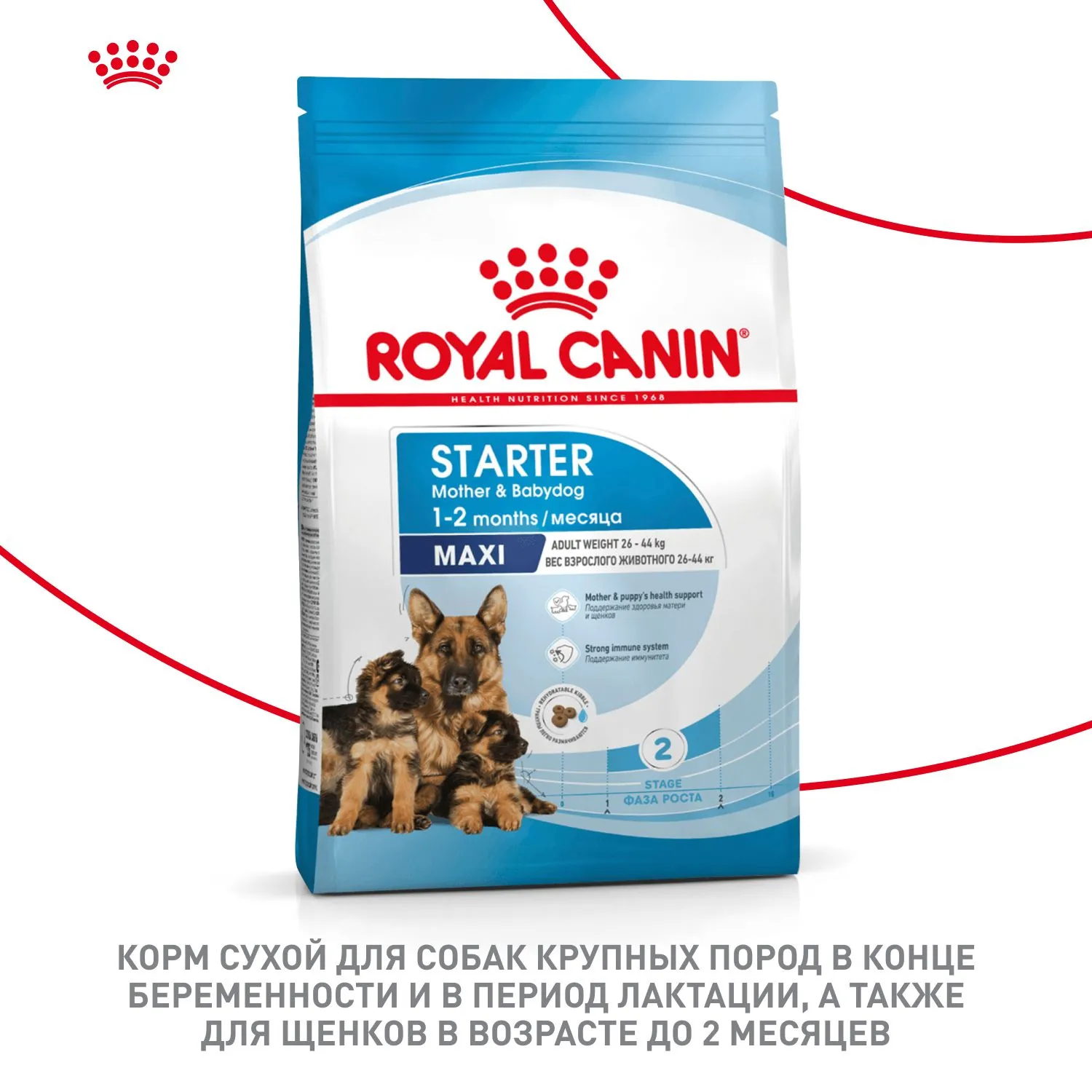 Royal Canin Maxi Starter