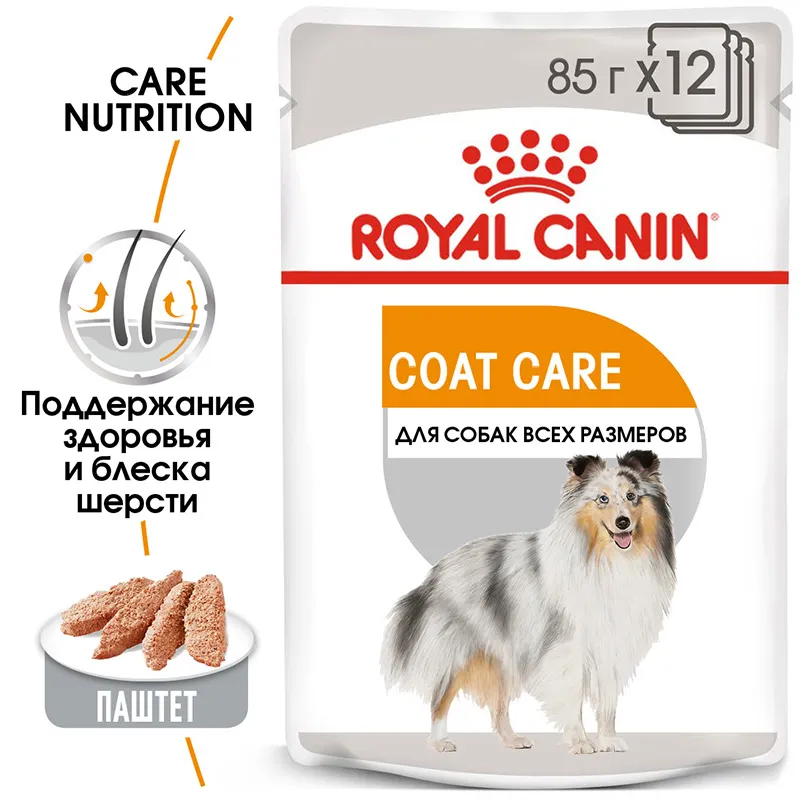 Royal Canin Coat Care Adult Dog